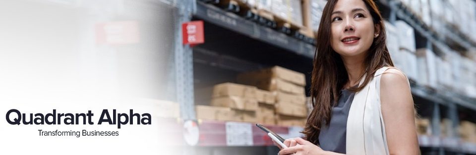 How to Choose the Perfect Inventory and Warehouse Management System for Your Business
