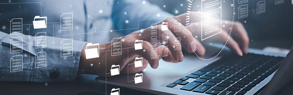 How Our HRIS Can Transform Your Operations Overnight